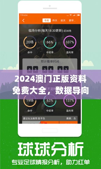 2024澳门正版资料免费大全;现状分析解释落实