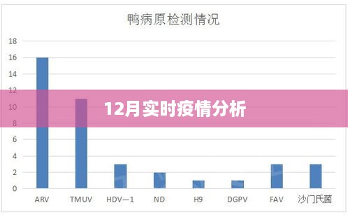 最新疫情动态，第XX日报告分析（疫情第XX日深度观察）