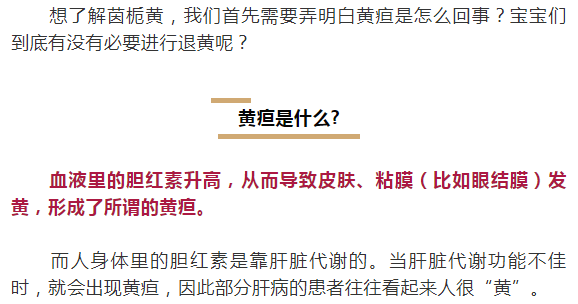 最新洗脑话术，深度探讨与警醒