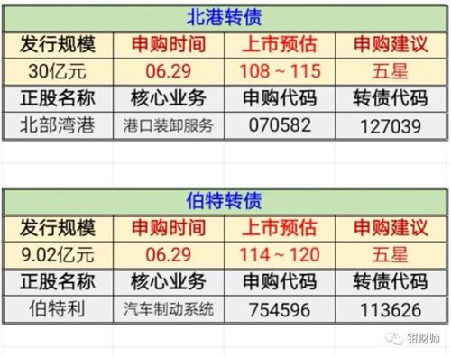 最新新债申购，投资者指南与策略探讨