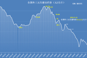 广东最新鹅价动态分析